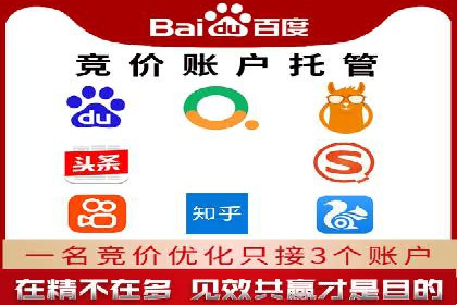 某电商平台的竞价托管SEM实践